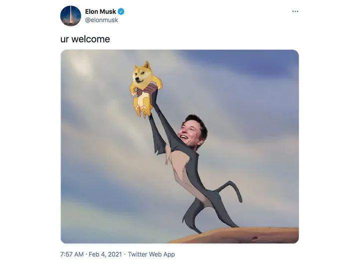 暴涨暴跌的狗狗币，折射出魔怔般的马斯克崇拜