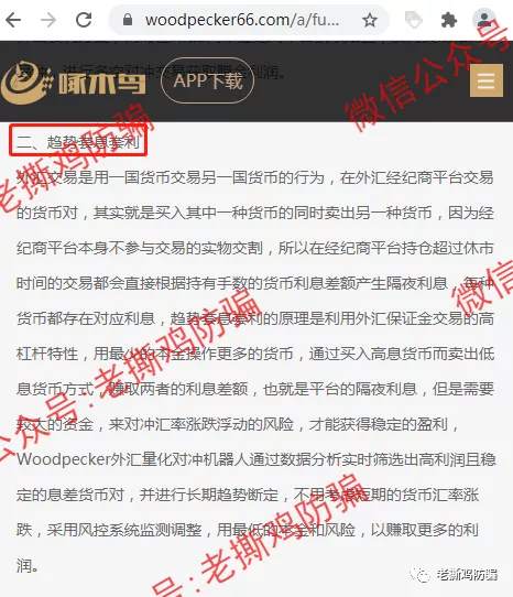 啄木鸟Woodpecker外汇智能量化对冲机器人，典型的短命资金盘！！