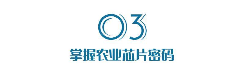 忒惨！我们种了 5000 多年的大豆，几年就被美国人击垮
