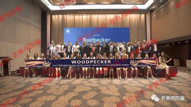 啄木鸟Woodpecker外汇智能量化对冲机器人，典型的短命资金盘！！