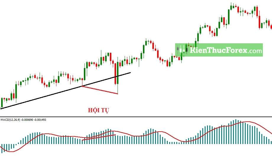 Bull trap, Bear trap là gì?