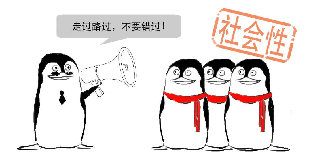 被骗了，你还不知道啥是非法集资？