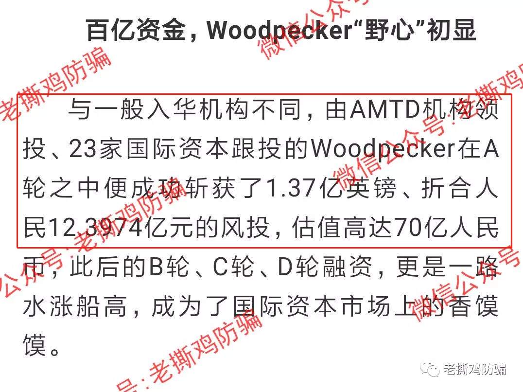 啄木鸟Woodpecker外汇智能量化对冲机器人，典型的短命资金盘！！