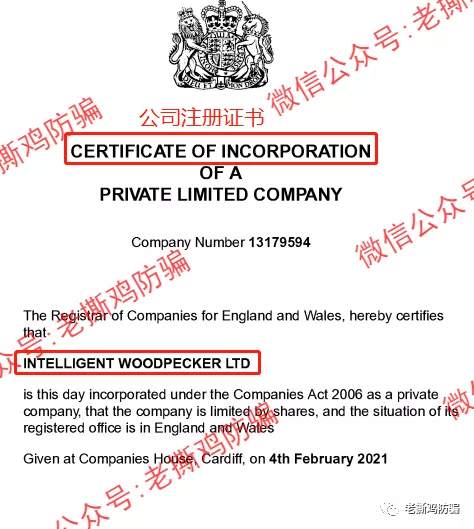 啄木鸟Woodpecker外汇智能量化对冲机器人，典型的短命资金盘！！