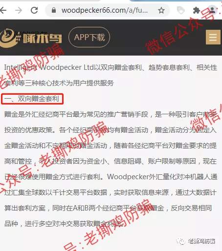 啄木鸟Woodpecker外汇智能量化对冲机器人，典型的短命资金盘！！