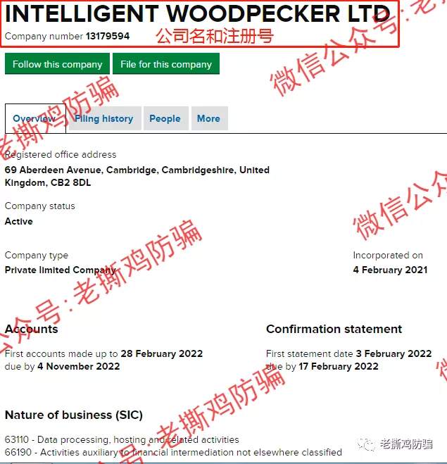 啄木鸟Woodpecker外汇智能量化对冲机器人，典型的短命资金盘！！