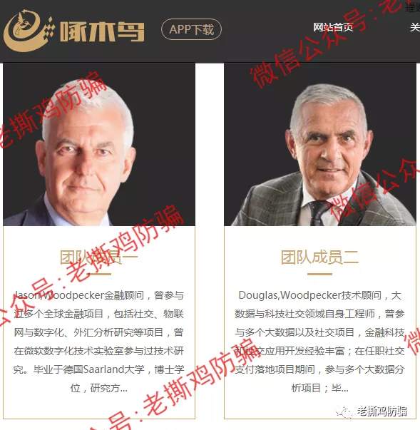 啄木鸟Woodpecker外汇智能量化对冲机器人，典型的短命资金盘！！