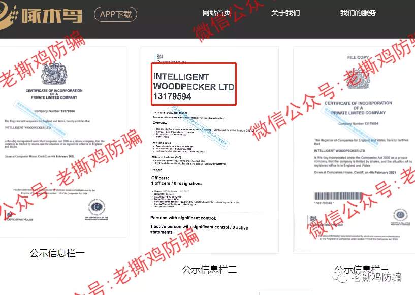 啄木鸟Woodpecker外汇智能量化对冲机器人，典型的短命资金盘！！