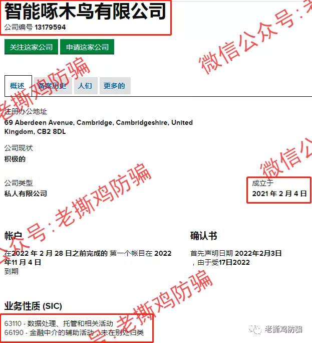 啄木鸟Woodpecker外汇智能量化对冲机器人，典型的短命资金盘！！