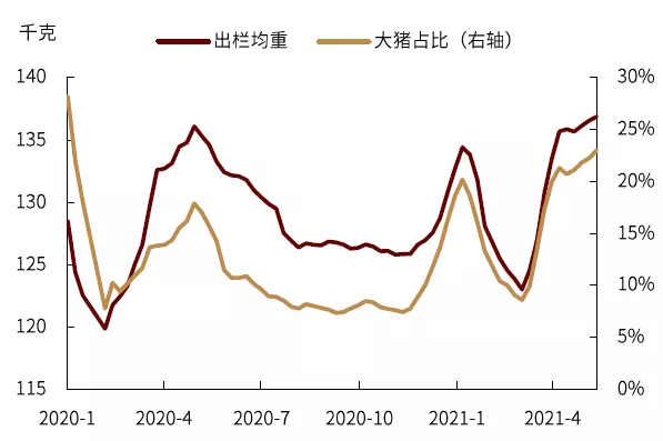 详解年内通胀之路