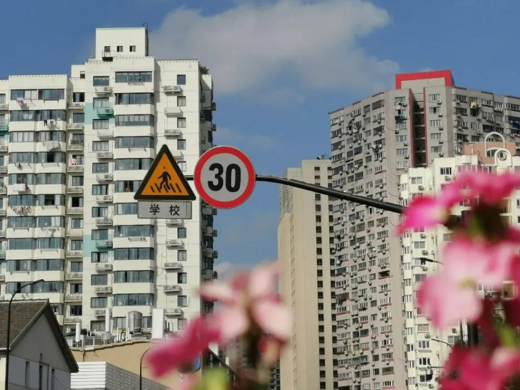 北上广的年轻人,“买不起”县城的房