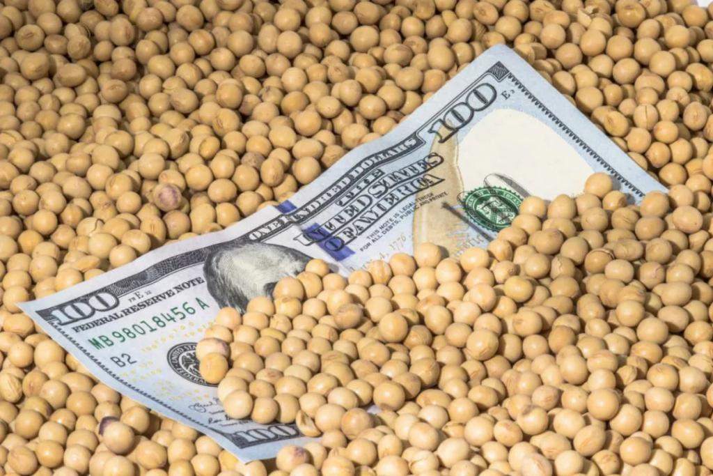 忒惨！我们种了 5000 多年的大豆，几年就被美国人击垮