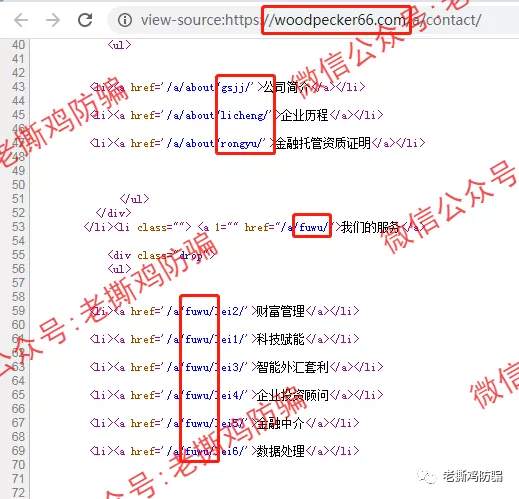 啄木鸟Woodpecker外汇智能量化对冲机器人，典型的短命资金盘！！