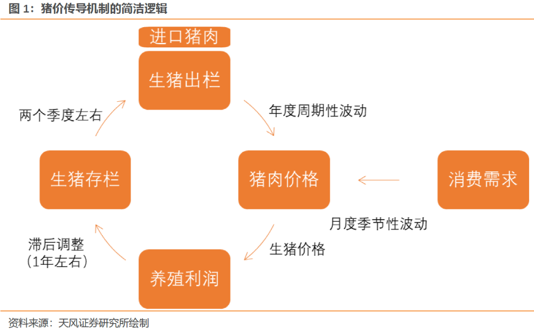 猪价何时见底？