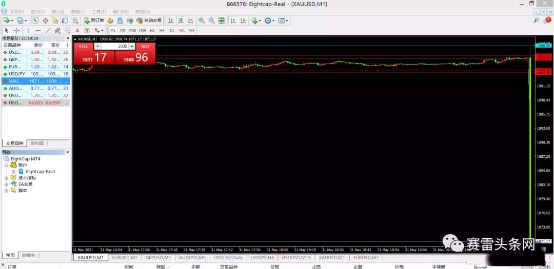 feed-image-2