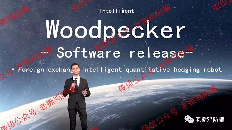 啄木鸟Woodpecker外汇智能量化对冲机器人，典型的短命资金盘！！