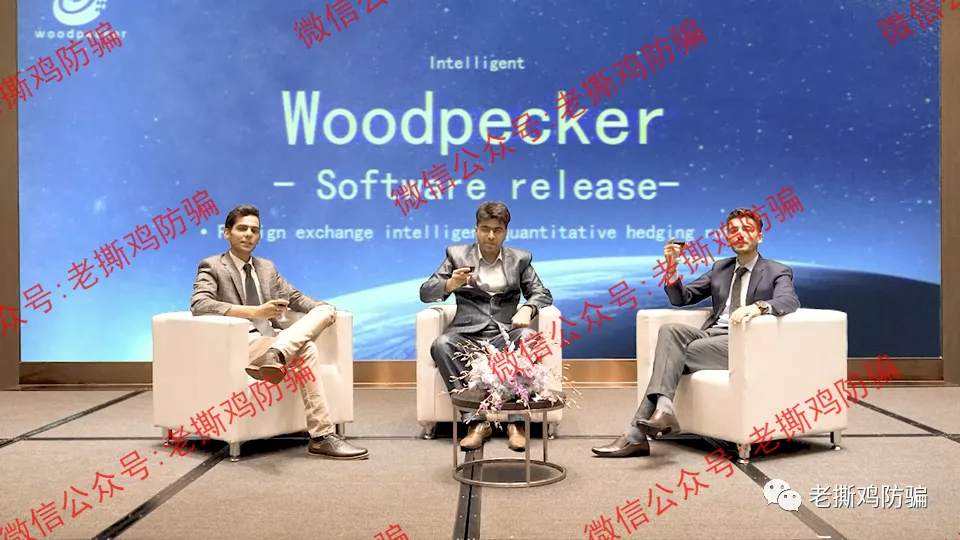 啄木鸟Woodpecker外汇智能量化对冲机器人，典型的短命资金盘！！