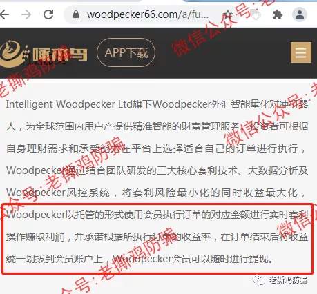 啄木鸟Woodpecker外汇智能量化对冲机器人，典型的短命资金盘！！