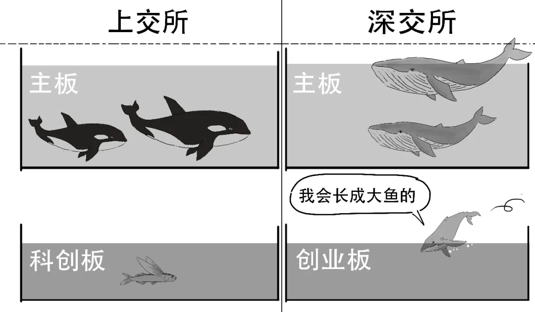 这款火热的指数基金,为啥是个混血?