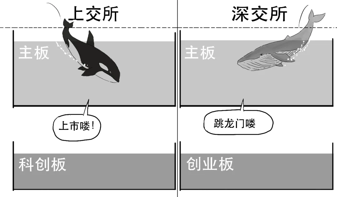这款火热的指数基金,为啥是个混血?