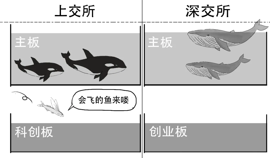 这款火热的指数基金,为啥是个混血?