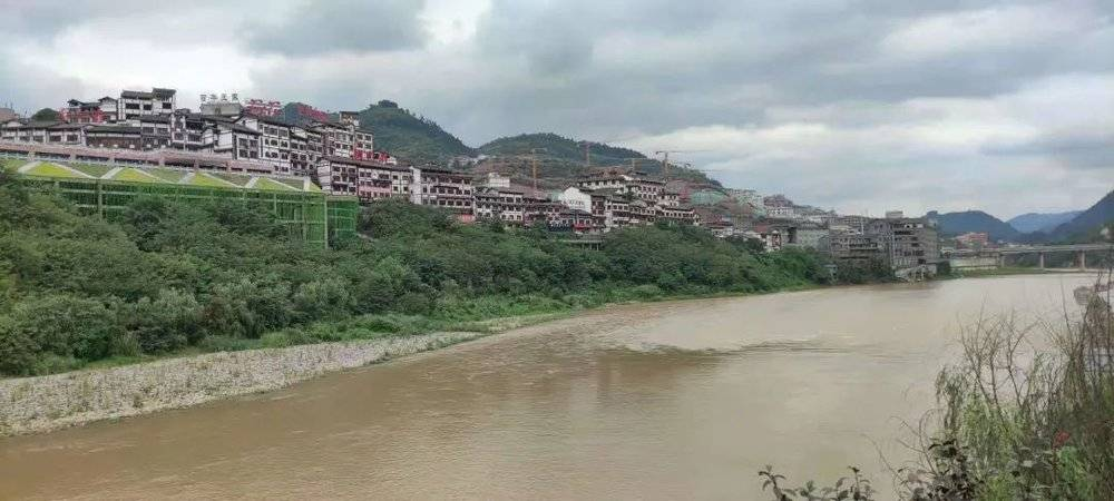 围猎茅台镇，金钱永不眠