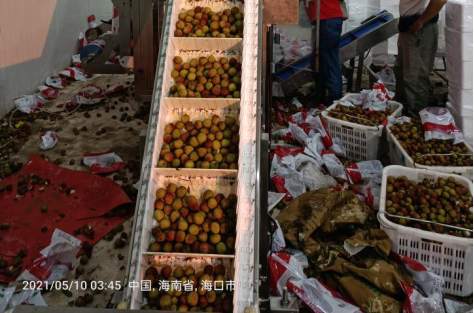 “深喉”发声,复盘社区团购败局之路