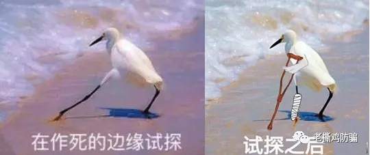 详解传销资金盘，解析什么是拼团？拼团是不是资金盘？