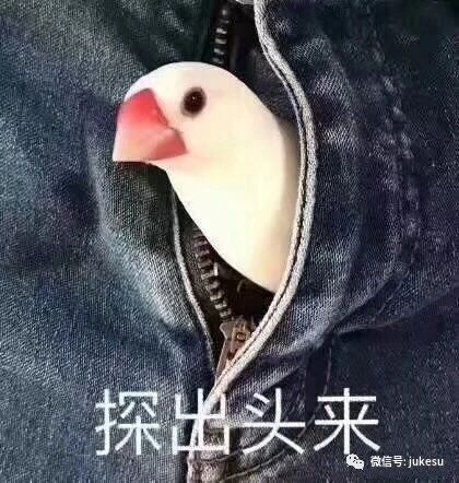 虚拟货币黑平台MWNG交易所:网络一线牵,小心这段缘!