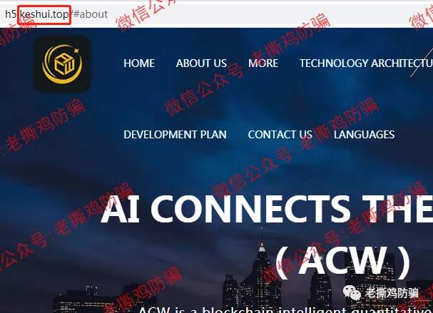 ACW阿联球智能量化-自建假的BitBox交易所自导自演!!