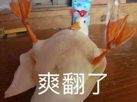 暴跌 100 万，学区房真的要凉了？