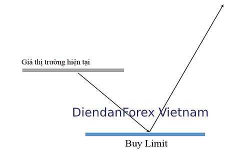 Pending order là gì? Hướng dẫn đặt lệnh chờ Buy limit
