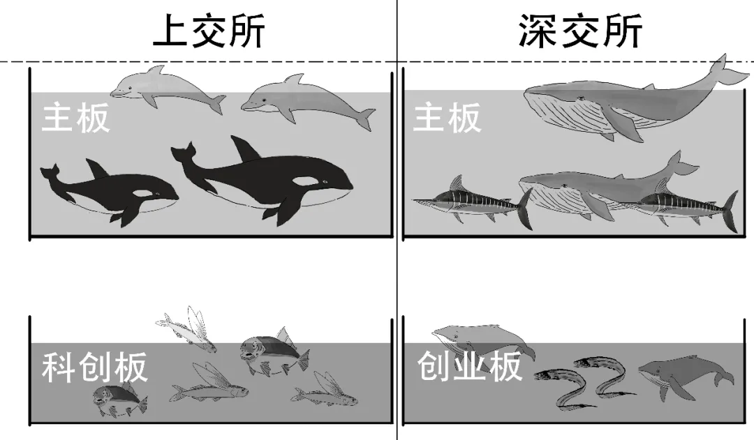 这款火热的指数基金,为啥是个混血?