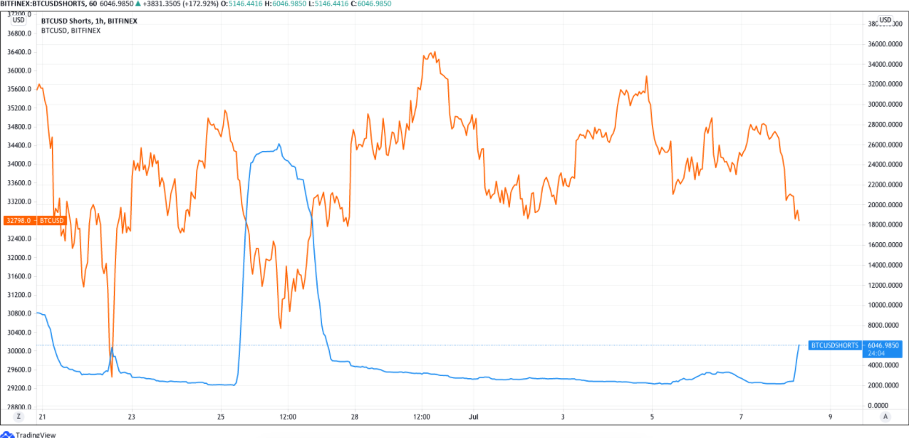 Cá voi Bitfinex Short hơn 5.000 BTC làm thị trường crypto chao đảo