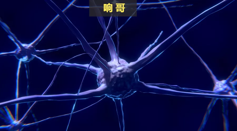 外汇资金盘受害者那么多，为什么却很难抓到骗子？
