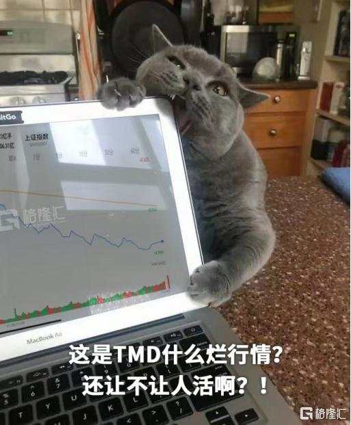 半个月内,再次暴跌!怎么看?怎么办?