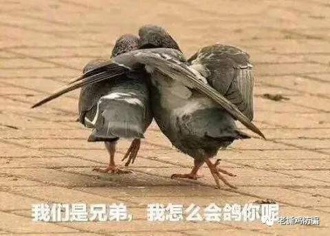 德汇TriumphFX牌照、公司都注销了，还说受监管？别逗了！！