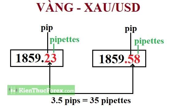Cách tính Lot vàng. 1 pip XAU/USD bằng bao nhiêu?