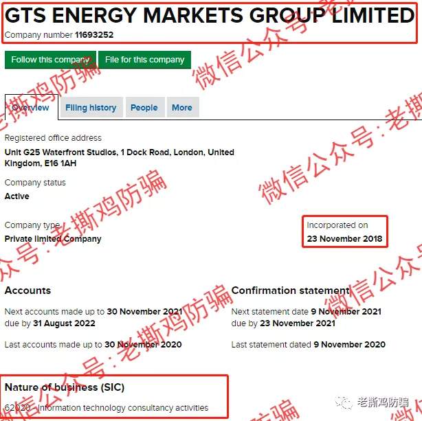 GTS Energy Markets：券商玩托管可还行？还自称受监管？？