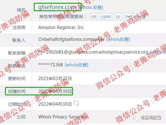 GTS Energy Markets：券商玩托管可还行？还自称受监管？？