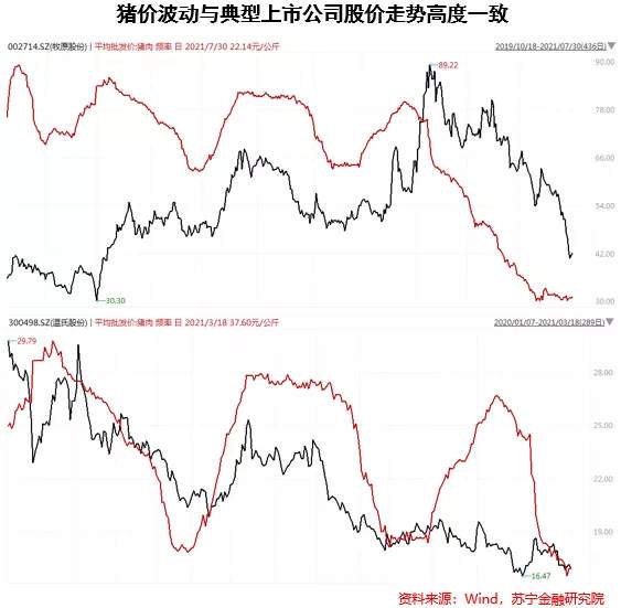猪肉股投资逻辑：周期的诅咒
