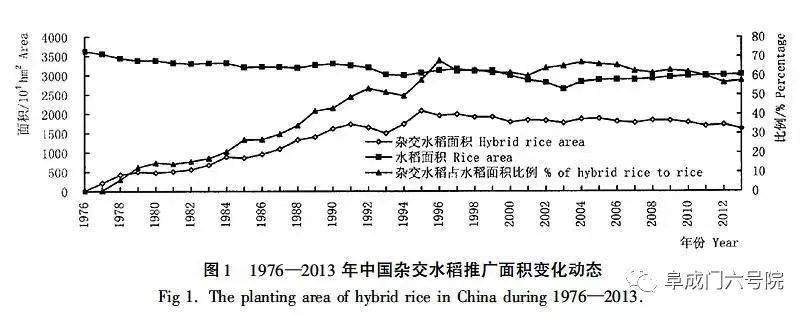 到底是什么让中国免于饥饿？