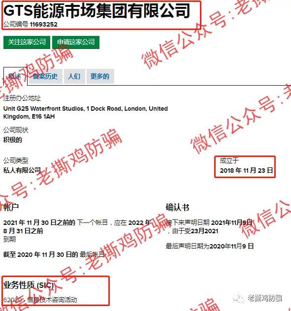 GTS Energy Markets：券商玩托管可还行？还自称受监管？？