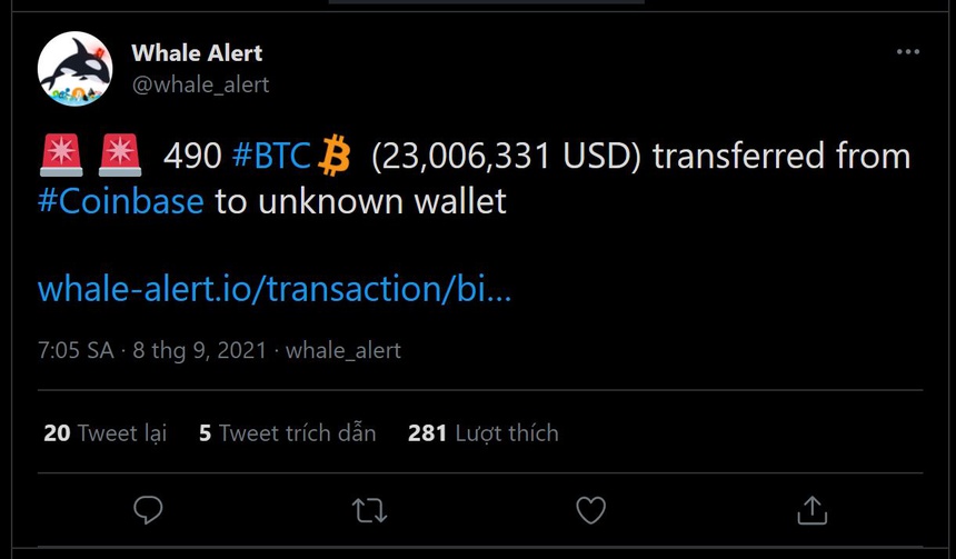 Một cá voi bắt đáy, mua vào 490 bitcoin