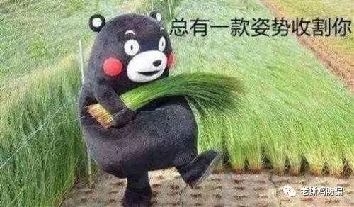 MUC奇迹基础链，隔夜饭都要给我笑出来的奇葩项目！！