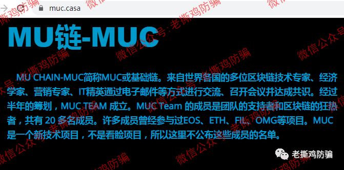 MUC奇迹基础链，隔夜饭都要给我笑出来的奇葩项目！！