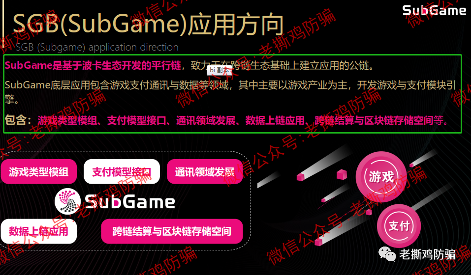 Subgame（SGB），披着波卡生态平行链外衣的假公链真资金盘！！