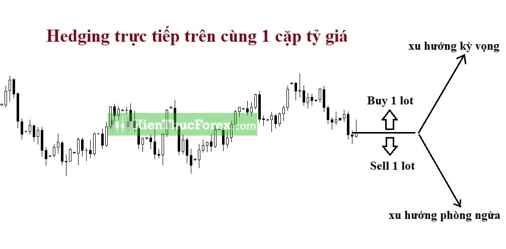 Hedge, Hedging là gì? Chiến lược sử dụng hedging trong giao dịch
