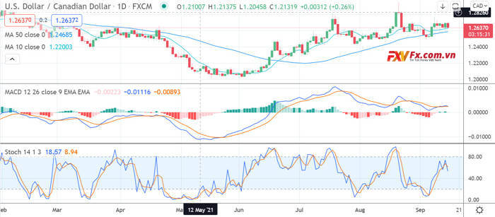 Dự đoán tỷ giá USD/CAD – Đô la trượt giá bất chấp giá nhập khẩu ổn định