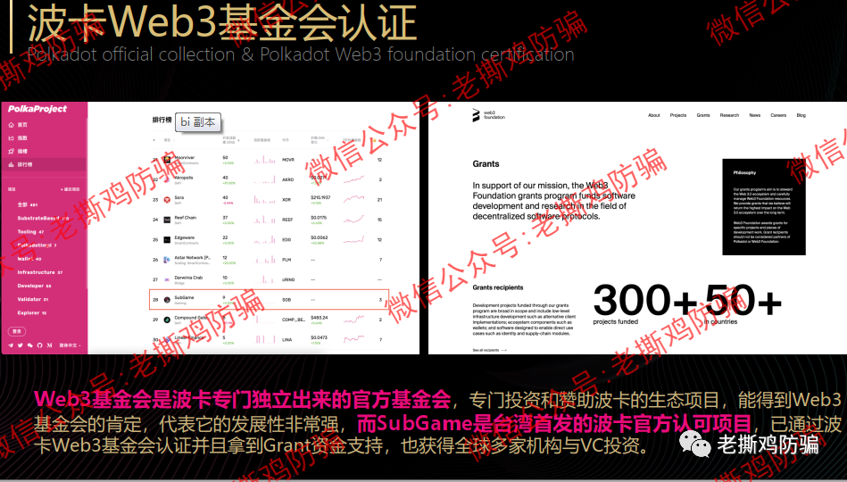 Subgame（SGB），披着波卡生态平行链外衣的假公链真资金盘！！